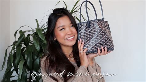 rachel goyard bag|Goyard bags not working.